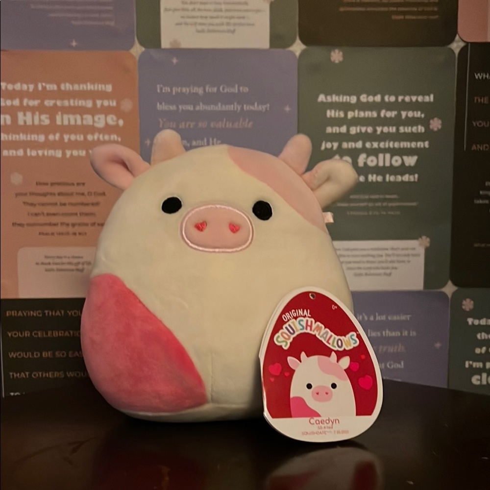 Caedyn the cow Squishmallow!